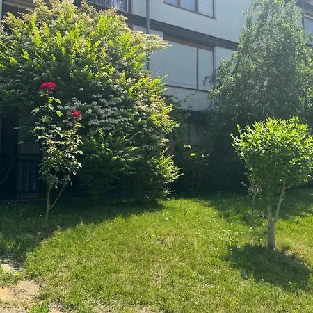 Lägenhet Santa Marina 503 *