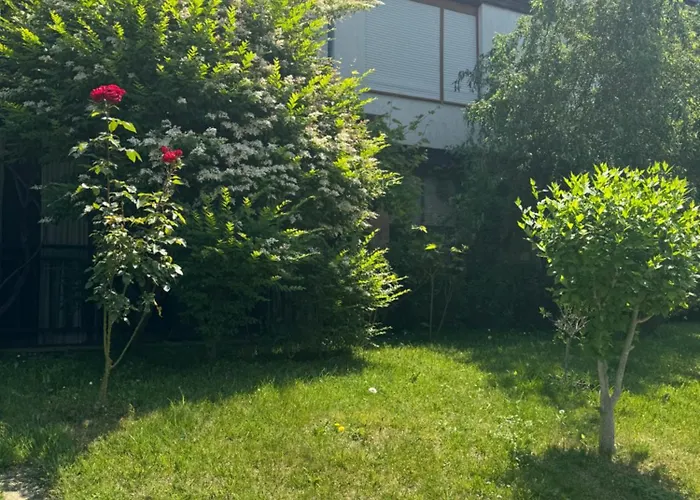 Appartamento Santa Marina 503 *